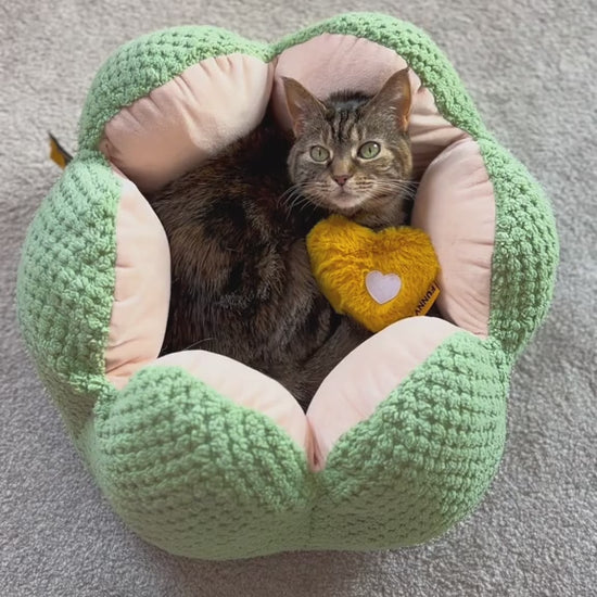 CozyCactus Pet Bed – comfortable cactus-shaped bed for cats