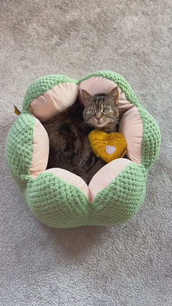CozyCactus Pet Bed – comfortable cactus-shaped bed for cats
